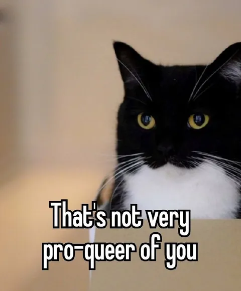 Not Very Pro-Queer Cat