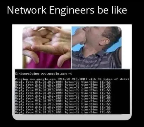 Network Engineers Be Like Ping