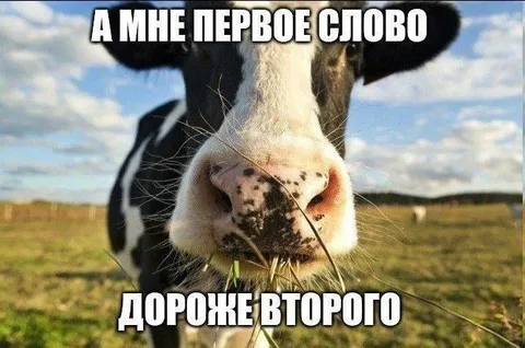 Первое слово дороже второго