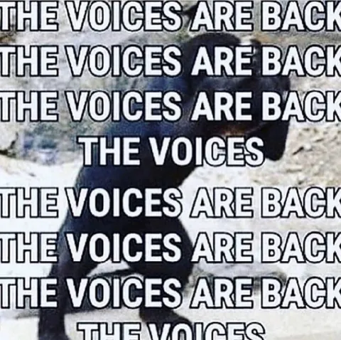 The Voices Are Back