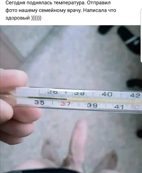 Здоровый при температуре 41