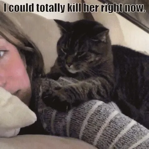 Cat Delays Killing Her