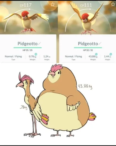 Pidgeotto Weight Comparison