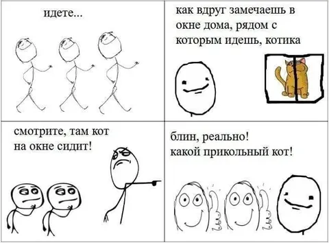 Кот в окне оказался прикольным