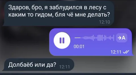 Голосовое вместо помощи в лесу