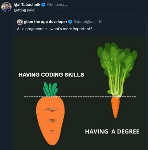 Coding Skills Versus Degree