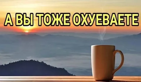 А вы тоже охуеваете