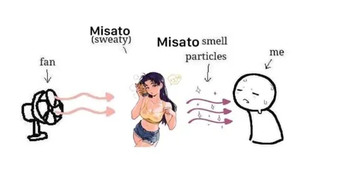 Misato Smell Particles