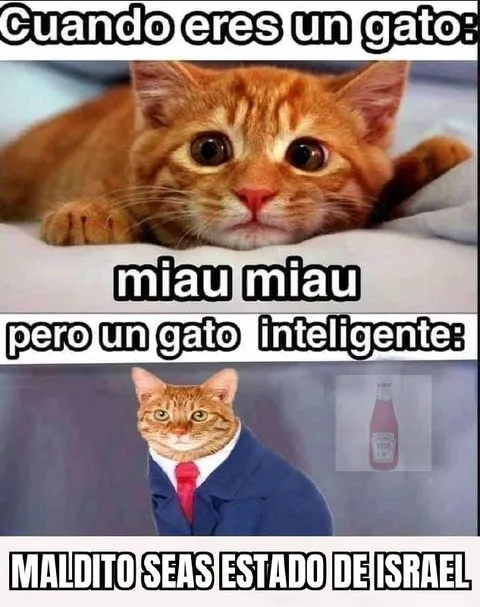Gato inteligente contra Israel