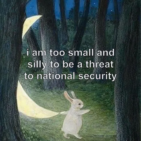 Too Small for National Security