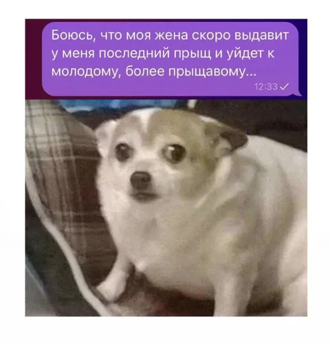 Жена уйдёт к более прыщавому