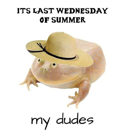 Last Wednesday of Summer Toad