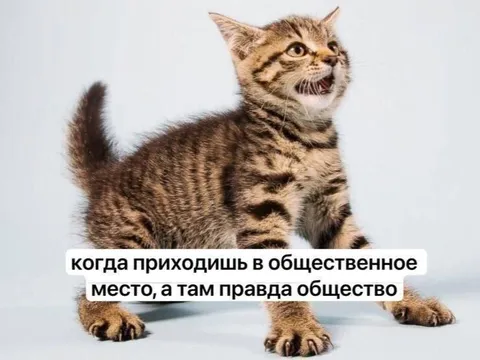 Когда приходишь в общественное место