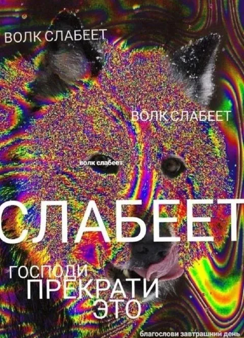 Волк слабеет, господи прекрати