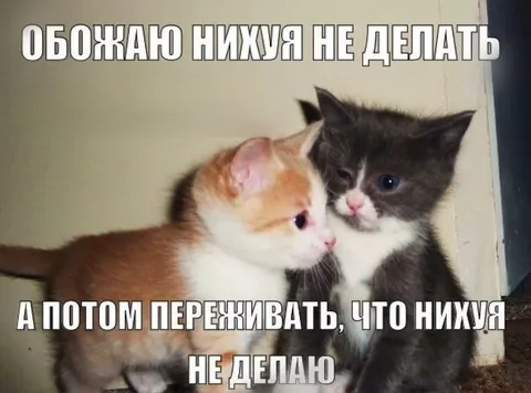 Обожаю ничего не делать