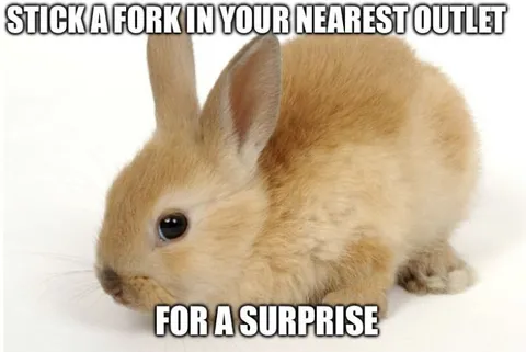 Rabbit With a Surprise Fork