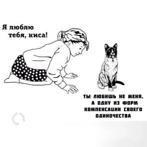 Киса как форма компенсации одиночества