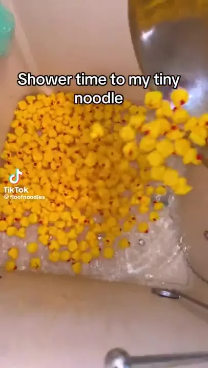 Tiny Noodle Duck Bath