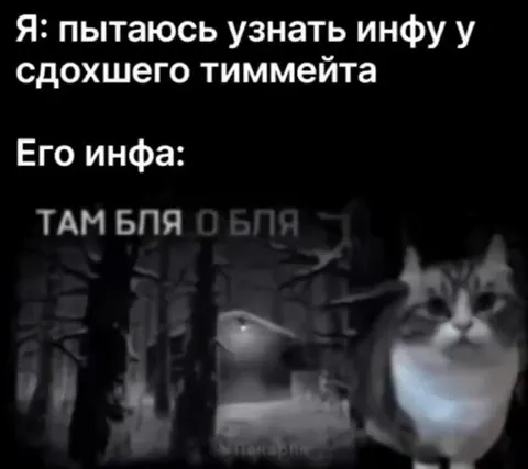 Инфа от сдохшего тиммейта