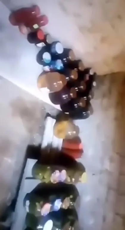 Странные блестящие гусеницы