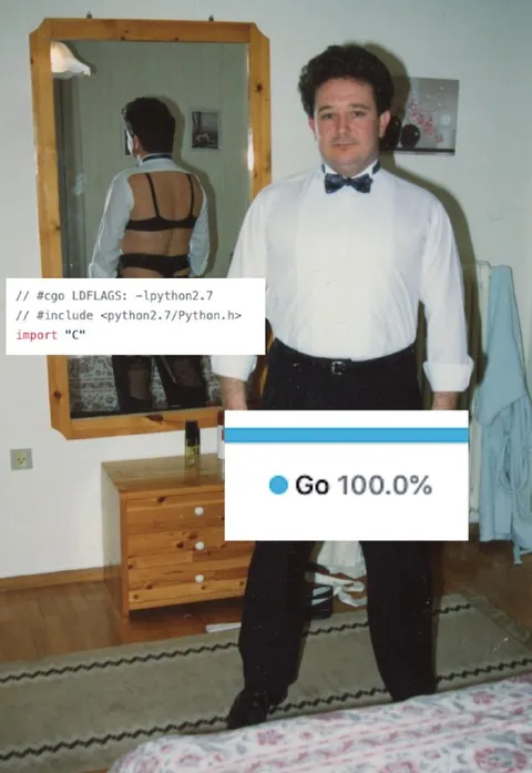 Go 100.0% Python Programmer