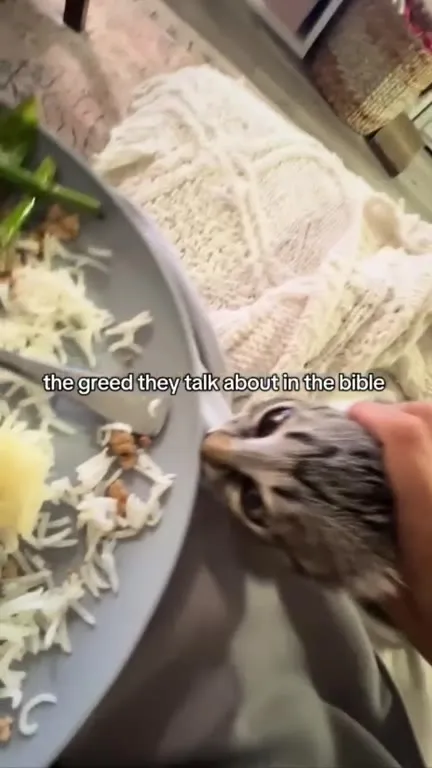 The Greed They Talk About