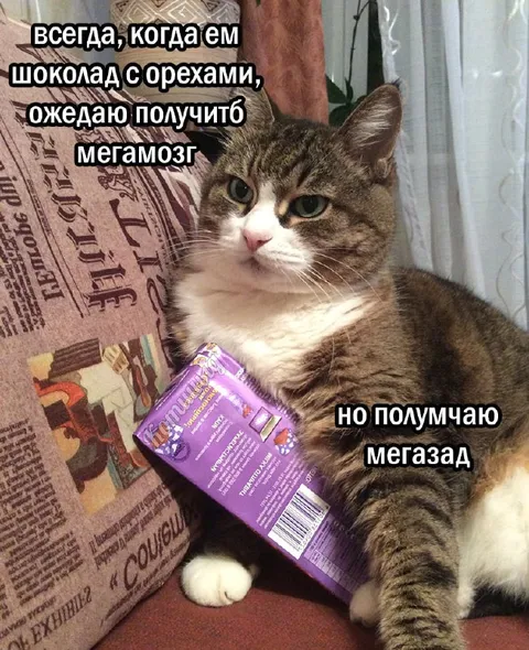 Шоколад с орехами и мегазад
