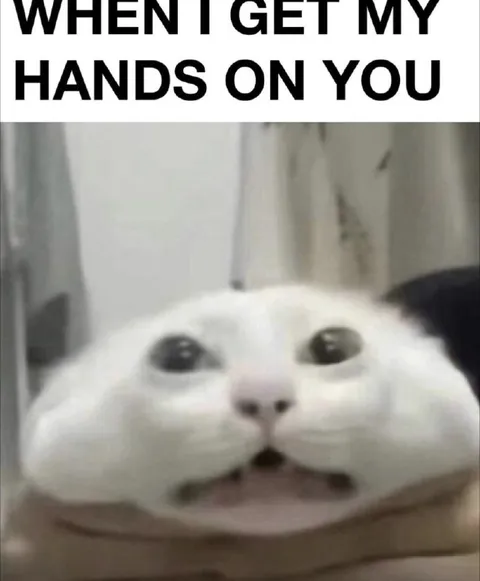 When I Get My Hands on You