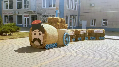 Сено едет на гуляния