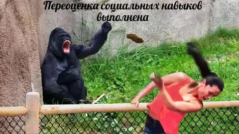 Переоценка социальных навыков