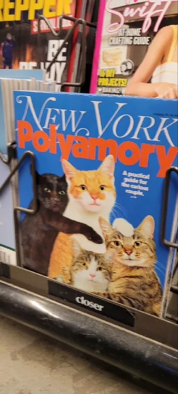 New York Polyamory Cats