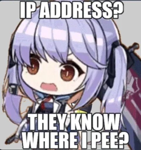 IP Address They Know Where I Pee