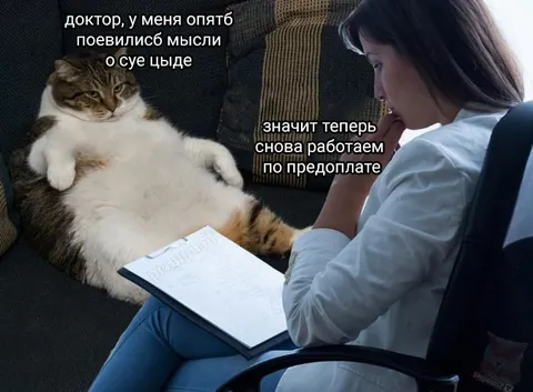 Кот снова работает по предоплате