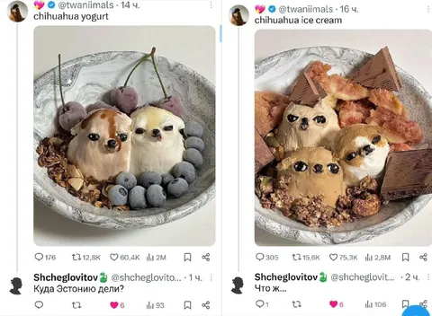 Chihuahua Yogurt and Ice Cream