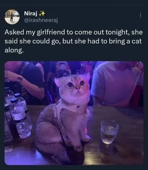 Girlfriend Brings a Cat Out