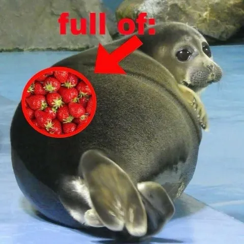 Seal Full of Strawberries
