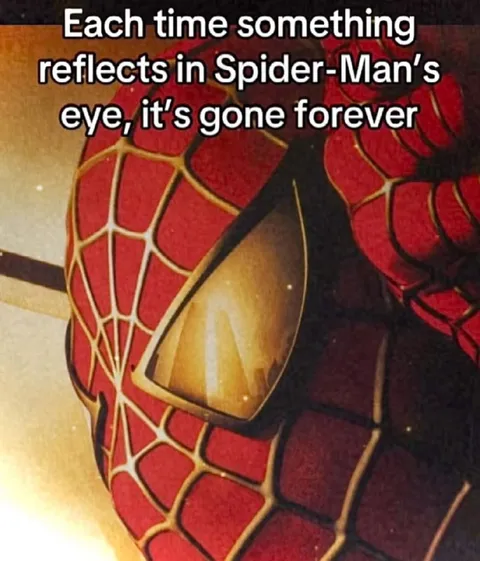 Spider-Man Reflection Gone Forever