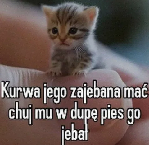 Kiedy karma wraca