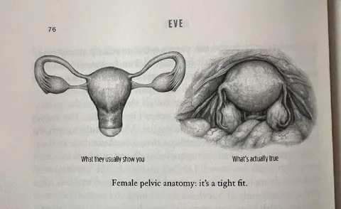 Female Pelvic Anatomy Reality Check