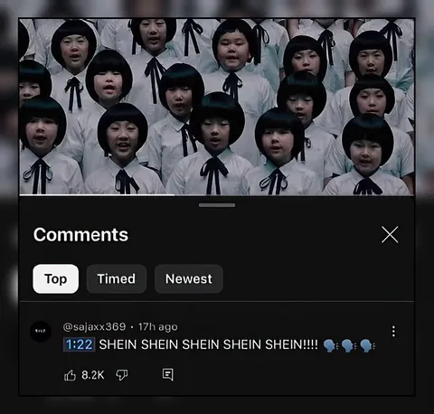 SHEIN Chorus Comment