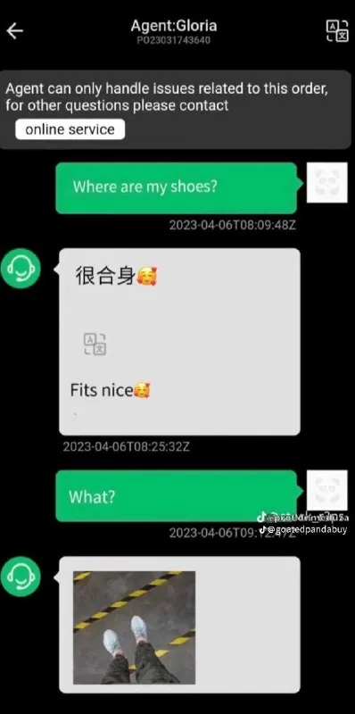 Where Are My Shoes? Fits Nice