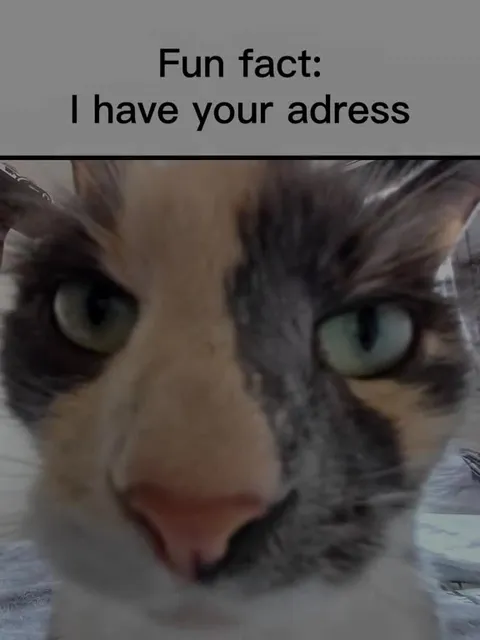 Cat Has Your Address