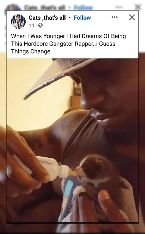 Hardcore Rapper to Kitten Caregiver
