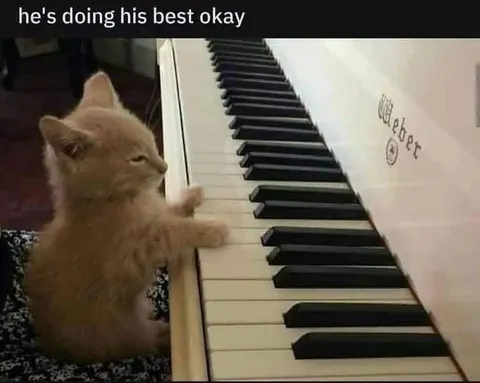 Cat Doing His Best