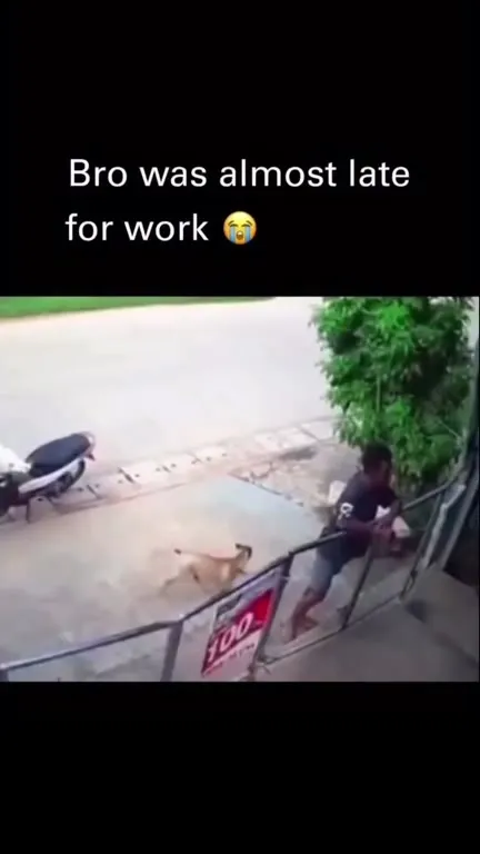 Almost Late for Work