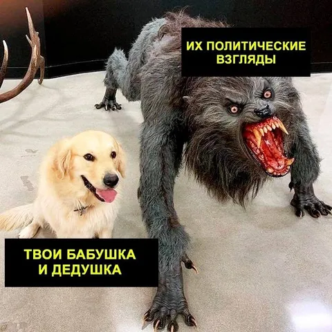 Их политические взгляды