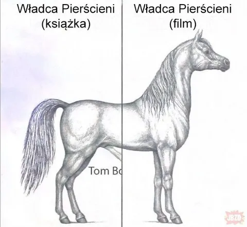 Władca Pierścieni: książka kontra film