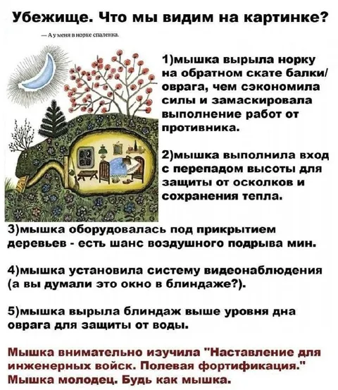 Мышка построила идеальное убежище