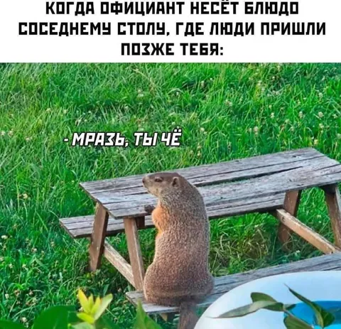 Соседний стол заняли раньше
