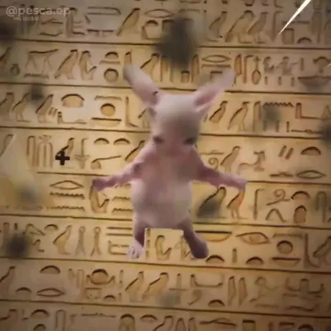 Кот в Древнем Египте